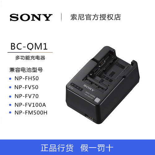 소니 BC-QM1 정품충전기 FV70 100A 충전기 ax60 45 AX700 AX100E 40