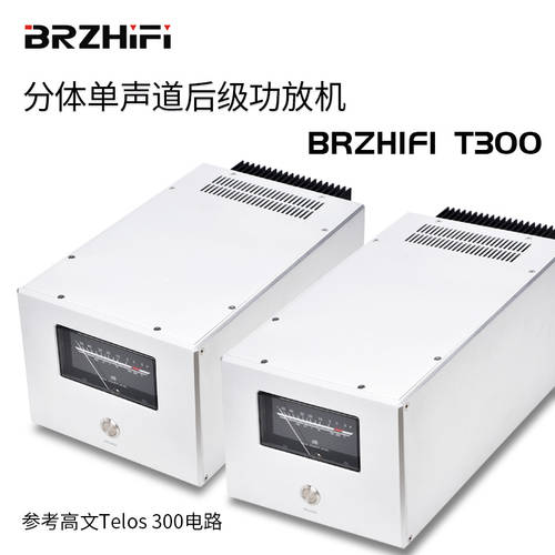 BRZHIFI 주파수 하이파이 T300 파워앰프 200W 분리형 고출력 메인앰프 가오 웬 최적화 라이센스