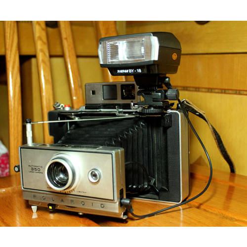 오르간 기계 카메라 조명플래시 찢다 개 조명 Yinyan 100250 컬러 인화지 POLAROID 실용적인 칭찬
