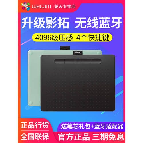 wacom 태블릿 CTL-6100WL 블루투스무선 스케치 보드 PC 드로잉패드 Intuos 드로잉 메모패드 태블릿 포토샵 PS 애니메이션 디자인 미술용 그림용 보드