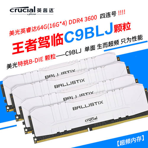 맥라이트 크루셜 백금 8G16G32G 3600 C9BLL C9KV C9BLH C9BLJ 데스크탑 메모리 램
