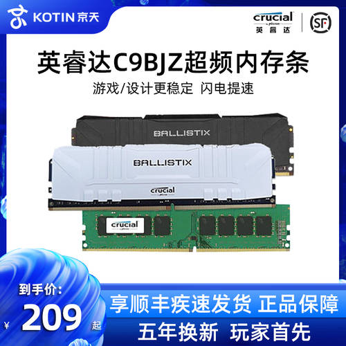맥라이트 크루셜 DDR4 8G 2666 3000 3200 메모리 램 16G 백금 C9BJZ 오버 클럭 램 rgb 플래시 라이트