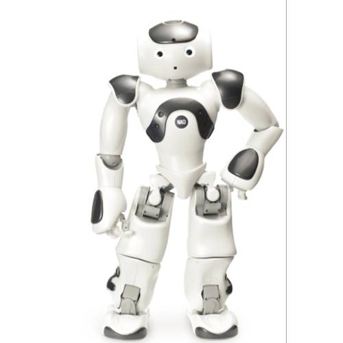 피규어 스마트 로봇 로봇 개발 플랫폼 NAO