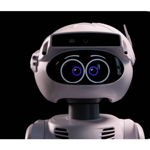 Misty 스마트 인터렉션 사회적인 로봇 비전 처리 풍부한 표정 채팅 프로그래밍가능 개발