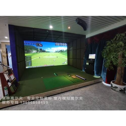 바디 타이푸 실내 골프 시뮬레이션 법정 디바이스 전자 가상 시스템 가정용 트레이닝 용 연습기